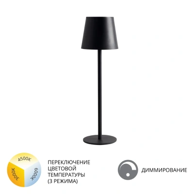 Уличный настольный светильник Arte Lamp FUYUE A1614LT-1BK