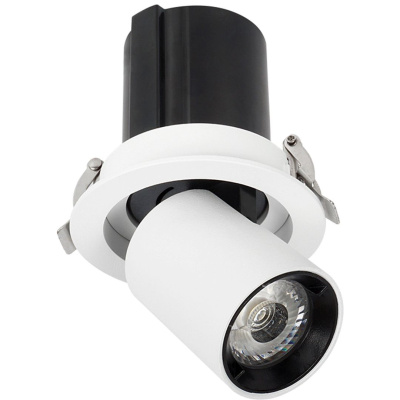 Светильник точечный встраиваемый DORSUM WERTMARK TECHNICAL WTD.O30.067.30.10