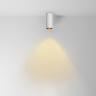 Потолочный светильник Maytoni Focus LED C056CL-L12W2.7K-W-W