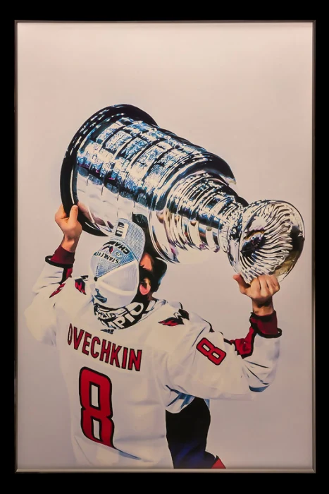 Картина Teona Decor Hockey TD234