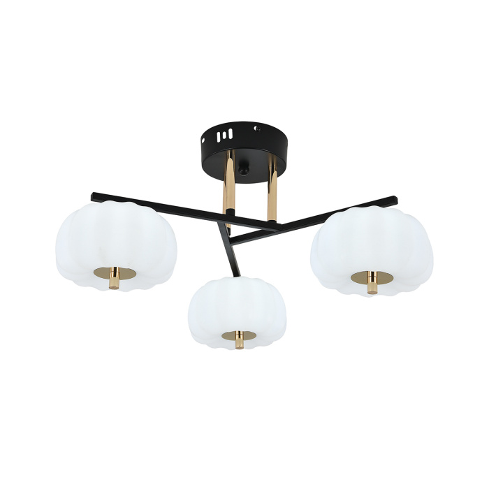 Потолочный светильник HALMA ESCADA 10301/3LED