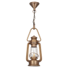 Уличный подвесной светильник Covali PL-37008