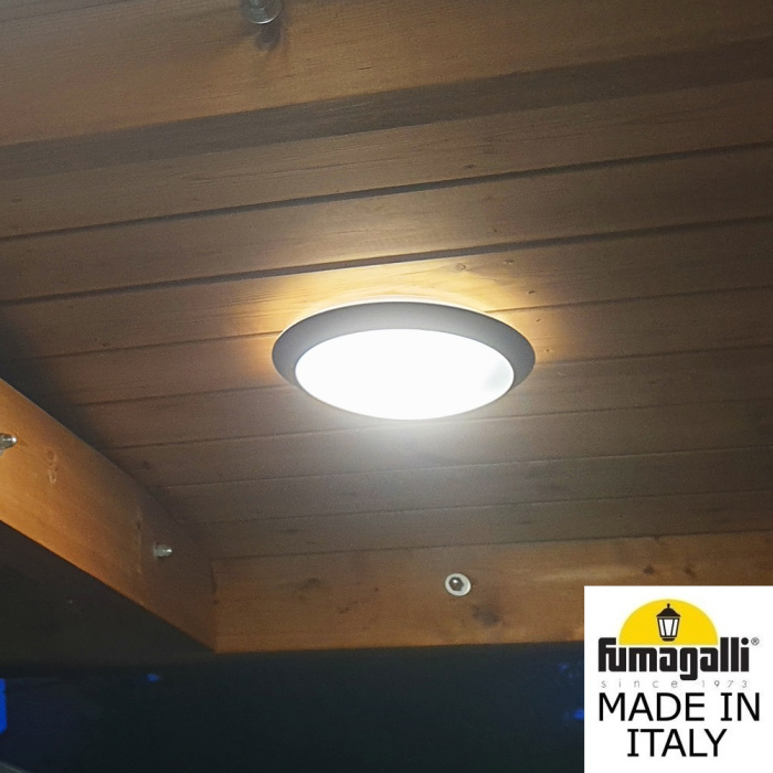 Уличный настенный светильник FUMAGALLI LUCIA BACKLIT 1R3.000.000.AYE27CL1