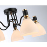 Потолочный светильник Ambrella light TR303307