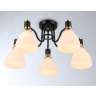 Потолочный светильник Ambrella light TR303307
