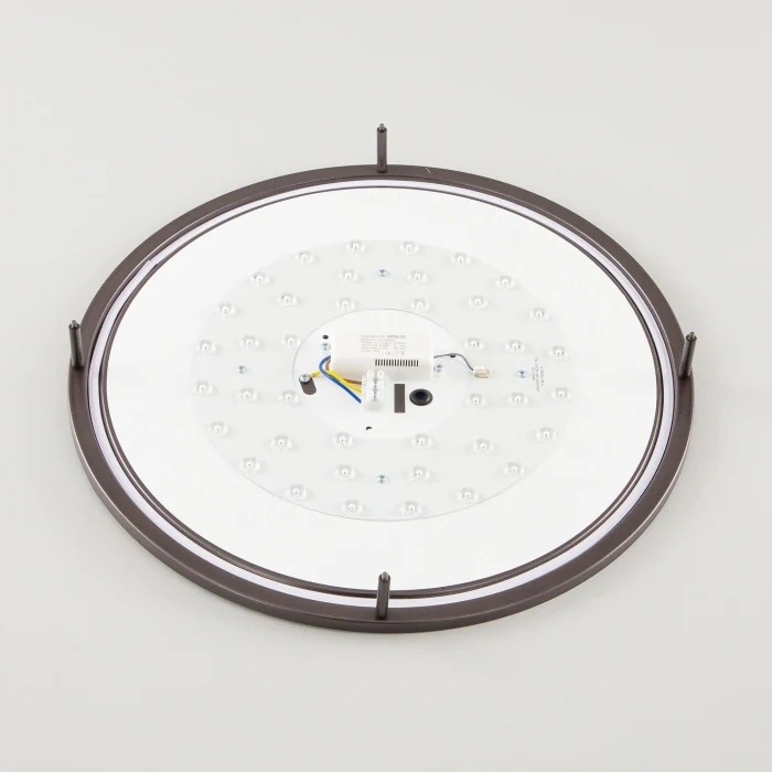 Настенно-потолочный светильник Citilux Бостон CL709505N