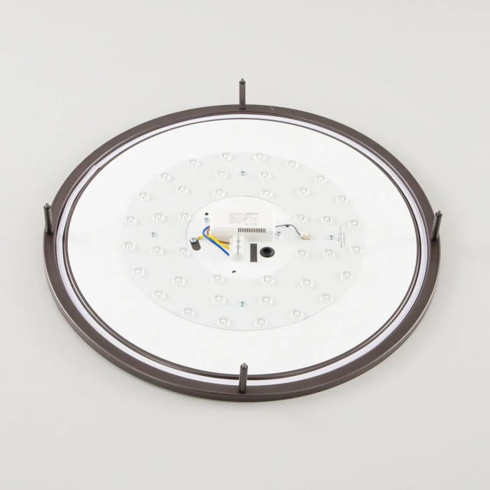 Настенно-потолочный светильник Citilux Бостон CL709505N