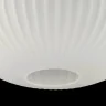 Люстра подвесная Arti Lampadari Delebio E 1.P2 W