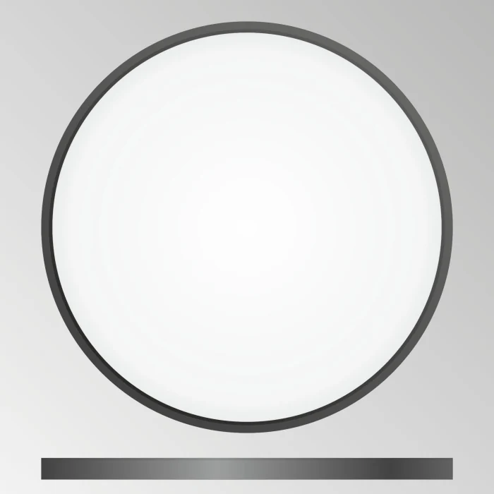 Светильник накладной Citilux Бейсик CL738401V