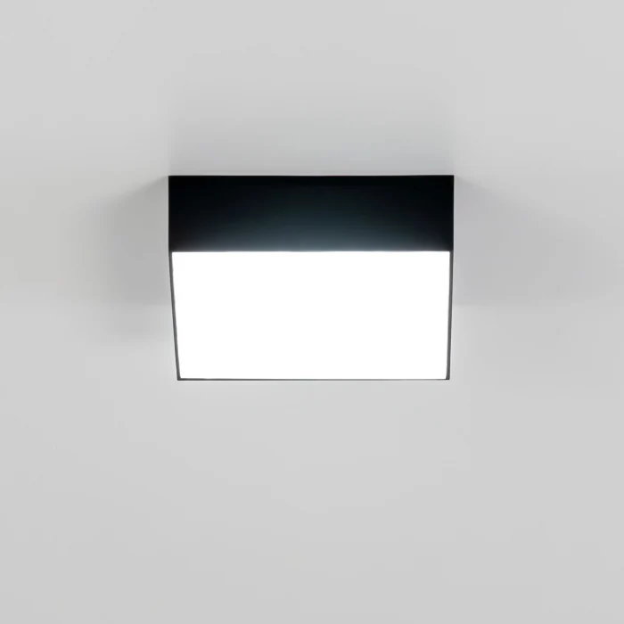 Светильник накладной Citilux Тао CL712X122N