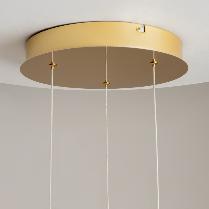 Подвесная люстра Maytoni Foresight MOD347PL-L24BS3K