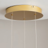 Подвесная люстра Maytoni Foresight MOD347PL-L24BS3K