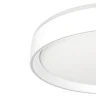 Потолочный светильник Citilux Boss CL751350G