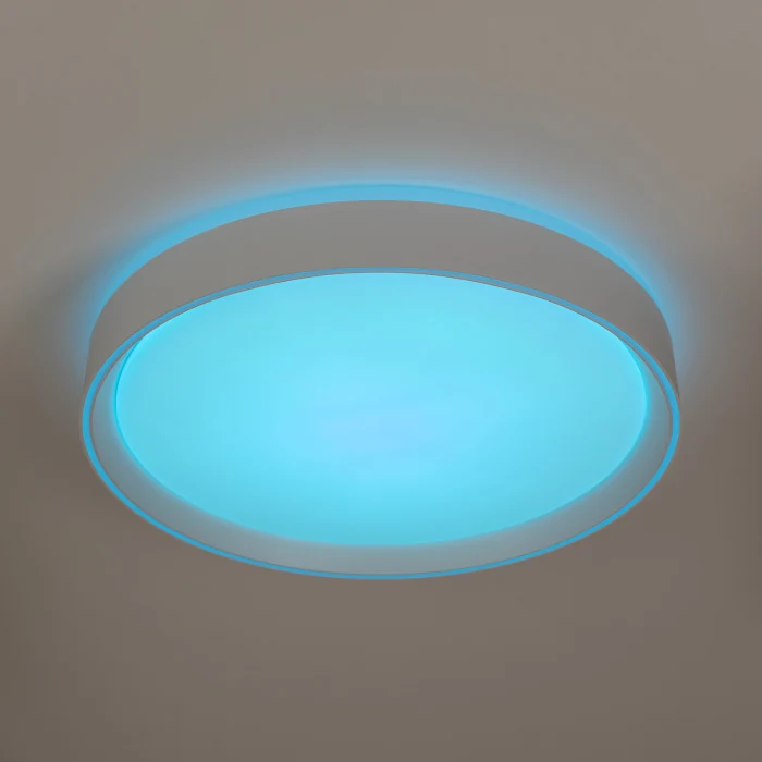 Светильник потолочный Citilux BOSS CL751350G