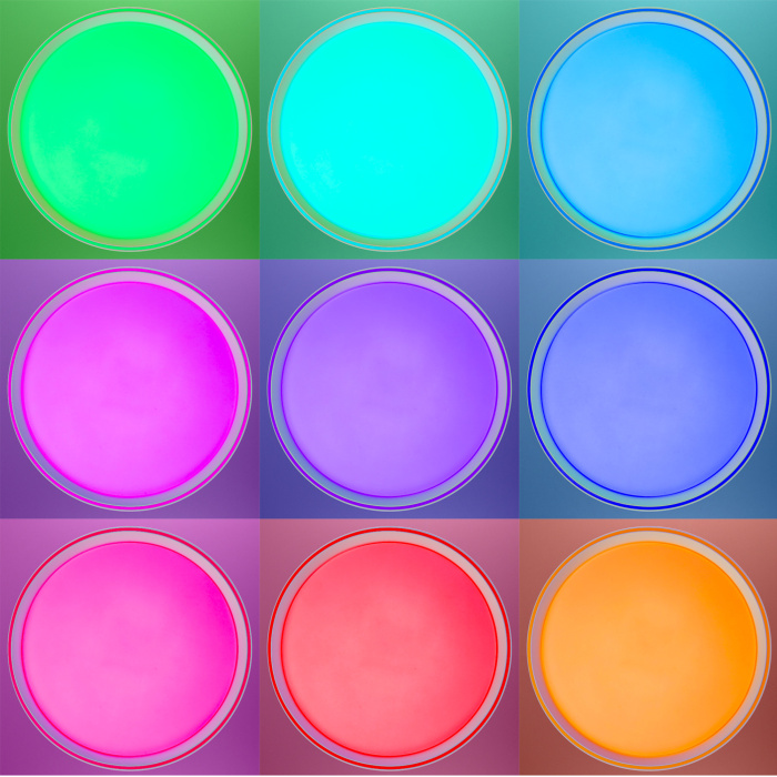 Светильник потолочный Citilux BOSS CL751350G