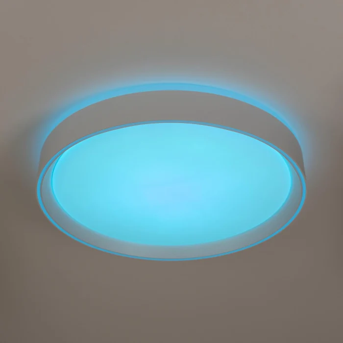 Потолочный светильник Citilux Boss CL751350G