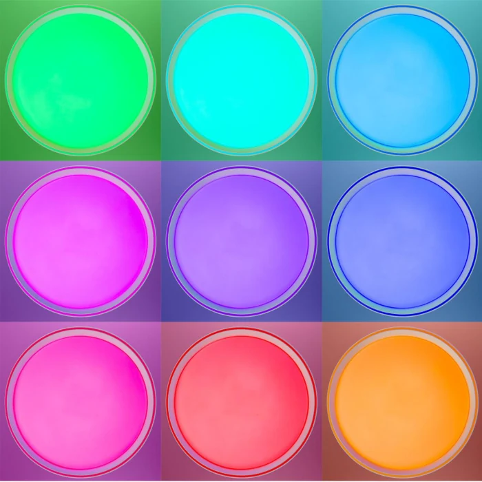 Потолочный светильник Citilux Boss CL751350G