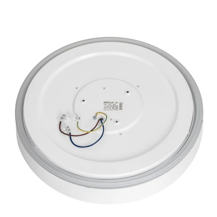 Потолочный светильник Citilux Boss CL751350G