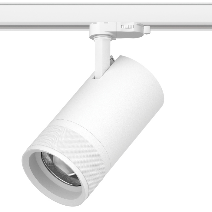 Трековый светильник Lightstar Canno pro C4406QT