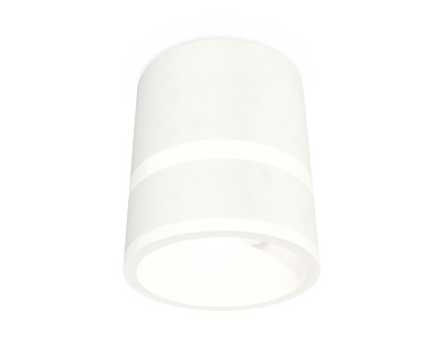 Комплект накладного светильника с акрилом Ambrella light XS8110005