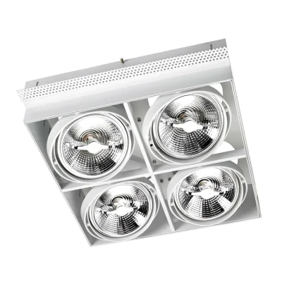 Потолочный светильник Leds C4 MULTIDIR DM-0084-14-00