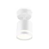 Накладной поворотный спот Ambrella light TA1411