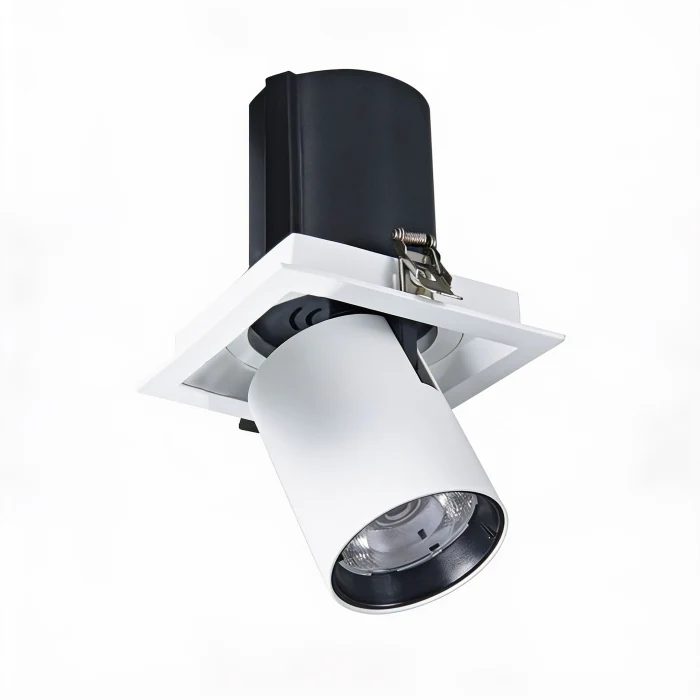 Светильник точечный встраиваемый DORSUM WERTMARK TECHNICAL WTD.O31.067.30.10