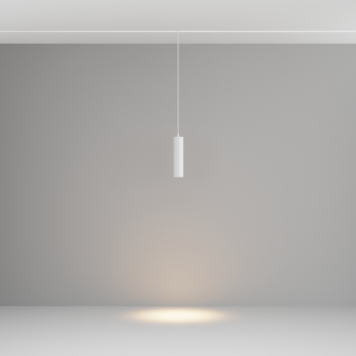 Трековый подвесной светильник Maytoni Focus LED TR041-2-12W3K-W