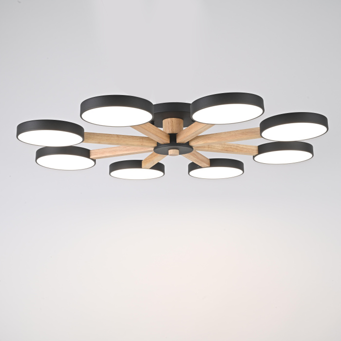 Потолочная люстра TURNA 8 Black ImperiumLoft