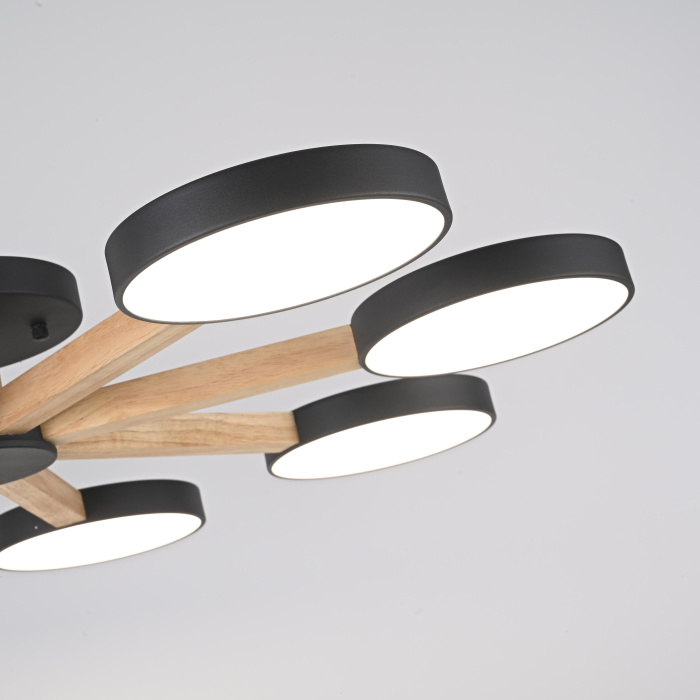 Потолочная люстра TURNA 8 Black ImperiumLoft