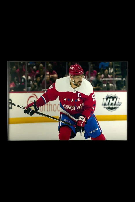 Картина Teona Decor Hockey TD235