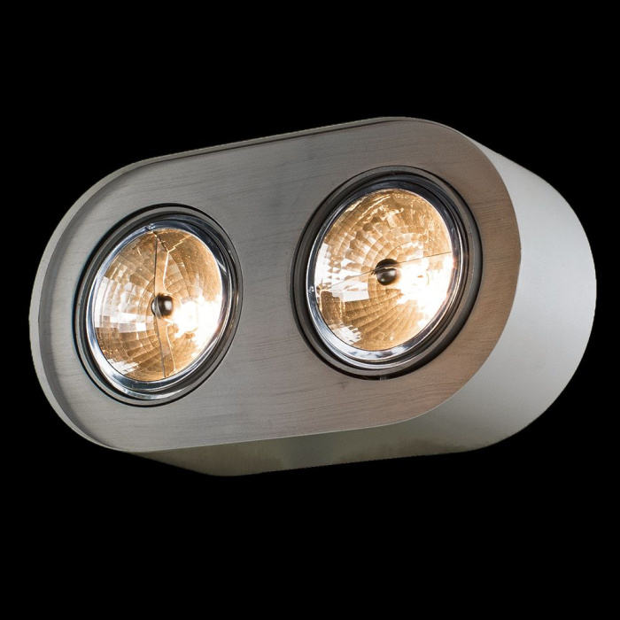 Накладной светильник Arte Lamp CLIFF A5643PL-2WH