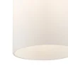 Подвесной светильник Freya Pitch FR5365PL-01CH