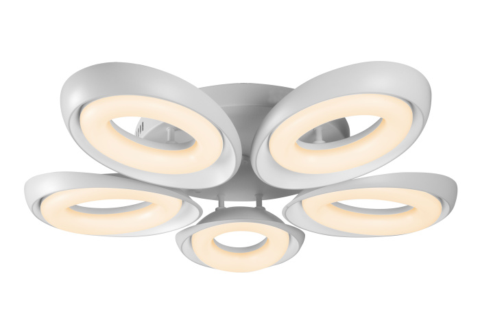 Потолочная люстра iLedex Fancy FS-011-X5 120W WH