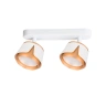 Спот Arte Lamp AMAKS A8028PL-2WH