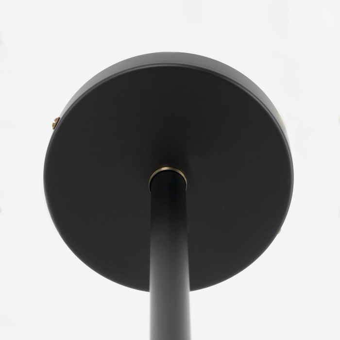 Люстра на штанге Citilux Планета CL105355