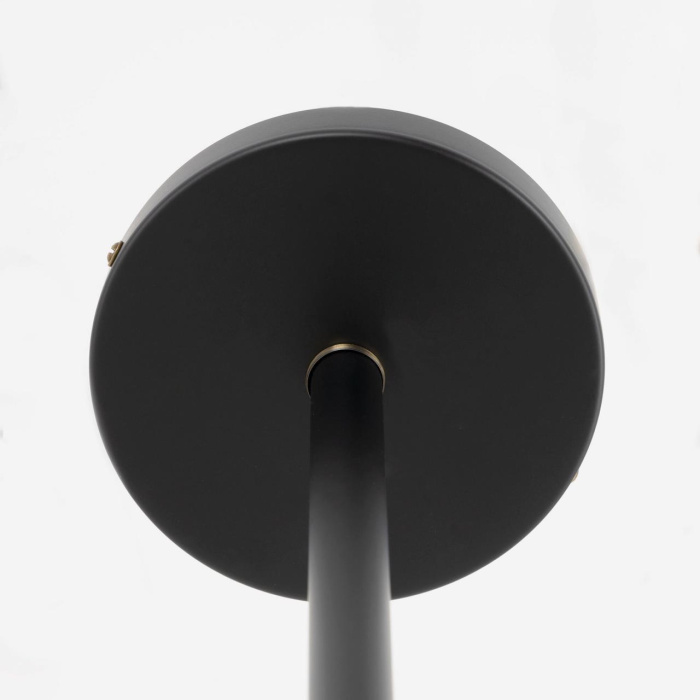 Люстра на штанге Citilux Планета CL105355