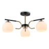 Потолочный светильник Ambrella light TR303311