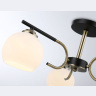 Потолочный светильник Ambrella light TR303311