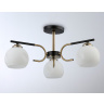 Потолочный светильник Ambrella light TR303311