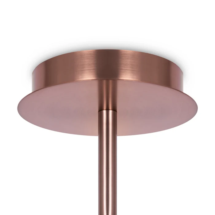 Потолочный светильник Maytoni Erich MOD221PL-10G