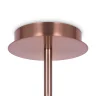 Потолочный светильник Maytoni Erich MOD221PL-10G