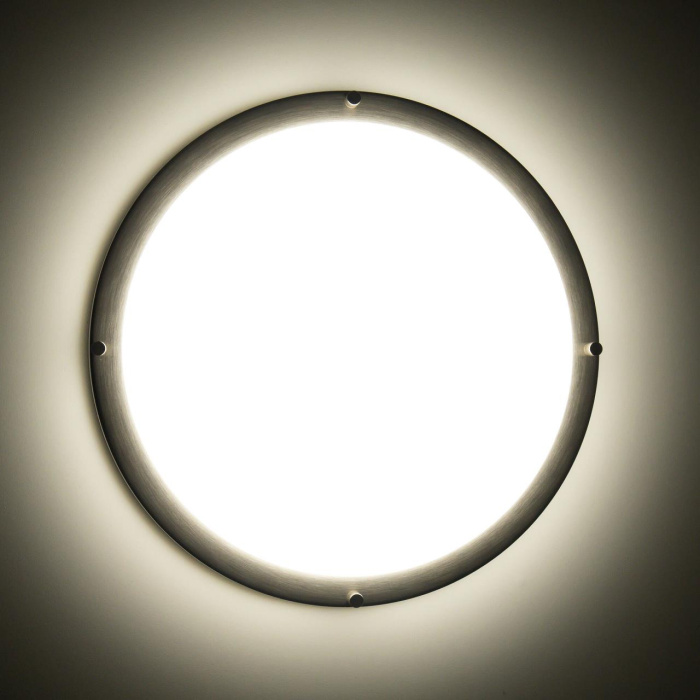 Настенно-потолочный светильник Citilux Бостон CL709321N