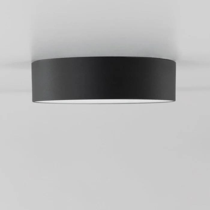 Светильник потолочный Citilux Тао CL712122N