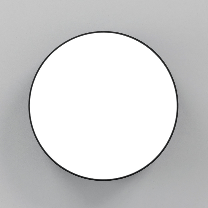 Светильник накладной Citilux Тао CL712122N