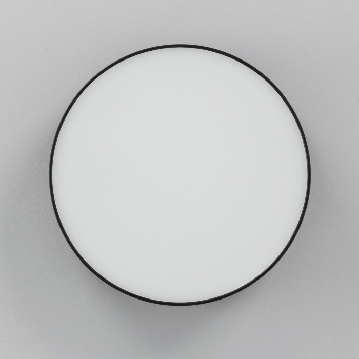 Светильник накладной Citilux Тао CL712122N