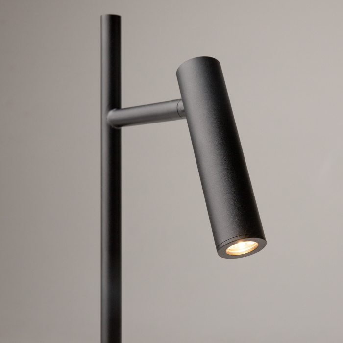 Торшер Maytoni Estudo Z010FL-L8B3K