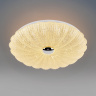 Потолочный светильник Lightstar Arco shell 225650