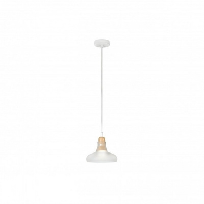 Подвесной светильник iLamp Puro AP9006-1C Белый