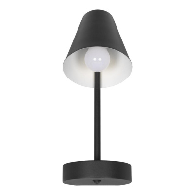 Настольная лампа Loft it Shelf 10216/1W Black